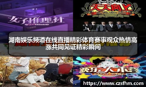 湖南娱乐频道在线直播精彩体育赛事观众热情高涨共同见证精彩瞬间
