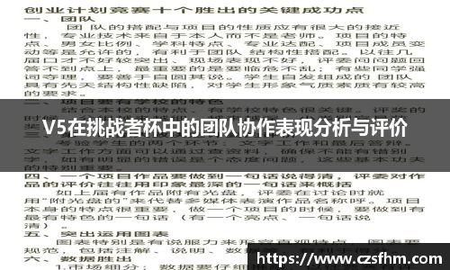 V5在挑战者杯中的团队协作表现分析与评价