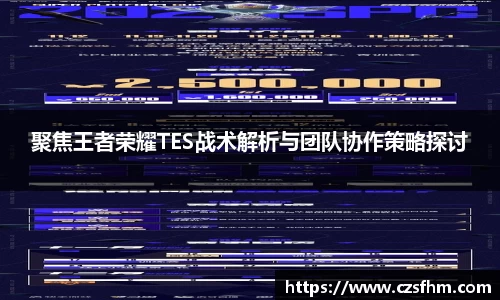 聚焦王者荣耀TES战术解析与团队协作策略探讨